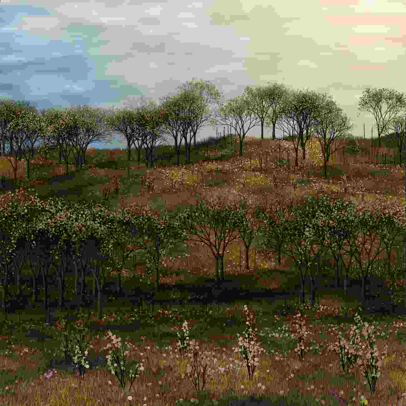 Generative Art - Hills | Ordinals | Gamma